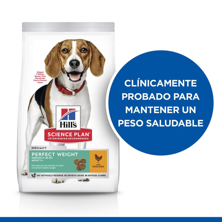 Hill's Science Plan Perfect Weight Adult Medium Pollo pienso para perros, , large image number null